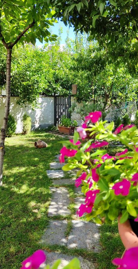 Casa Teresinella Garden Lägenhet Torre Annunziata Exteriör bild